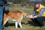 schnffelseminar in schermbeck